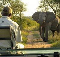 Lukimbi Safari Lodge - Accommodation Africa