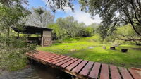 Lylius Forest Private Campsite Tourism Africa