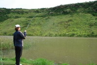 MacFarlanes Tourism Africa