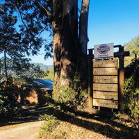 Magoebaskloof Forest Cottage Tourism Africa