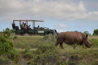 Mantis Founders Lodge Tourism Africa