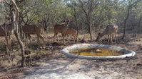 Mary B' Cottage Tourism Africa
