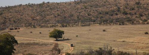 Matingwe Lodge - thumb 5