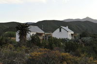 Matjiesvlei Guestfarm Tourism Africa