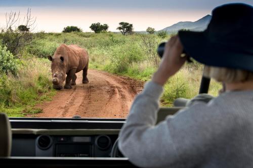 Mbazo Safaris - thumb 4