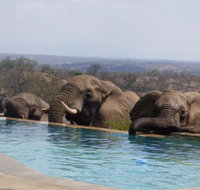 Mbizi Bush Lodge - Tourism Africa