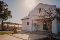 Melk Houte Bosch Guest Farm Tourism Africa