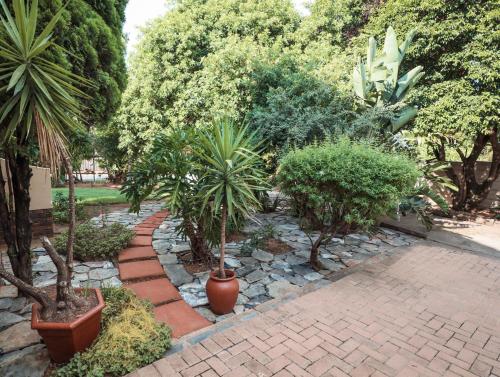 Menlyn Maine: The Exquisite Lunette - thumb 1