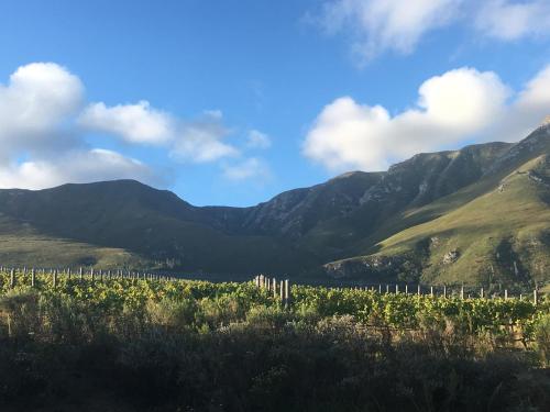 Misty Mountains - thumb 0