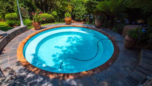 MistyCrown - thumb 0