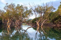 Book Mngazana Hotels, Tourism Africa Tourism Africa