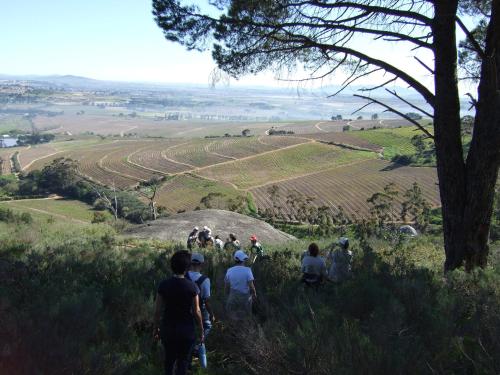 Mooiplaas Wine Estate - thumb 5