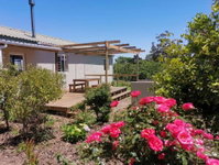 Moortop Cottages Tourism Africa