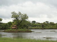 Morekuri Safaris Tourism Africa