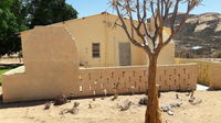 morewag farm Tourism Africa