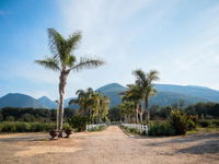 Mountain Breeze Log Cabins Tourism Africa