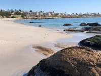 Musselcracker bnb Tourism Africa