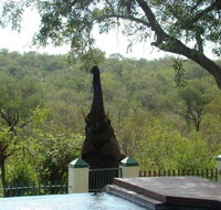 Muweti Bush Lodge - Tourism Africa