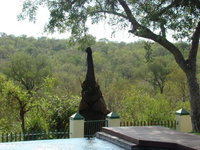 Muweti Bush Lodge Tourism Africa