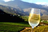 Mymering Wine  Guest Estate Tourism Africa