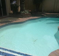 Naisar Royal White Wing - Tourism Africa