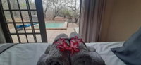 Book Kruger National Park Hotels, Tourism Africa Tourism Africa