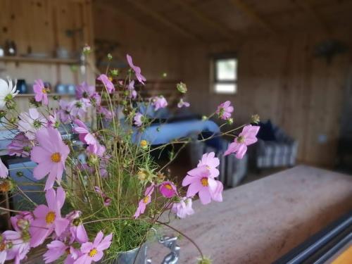 Nature's Loft - thumb 1