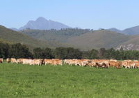 Natures Way Farmhouse Tourism Africa