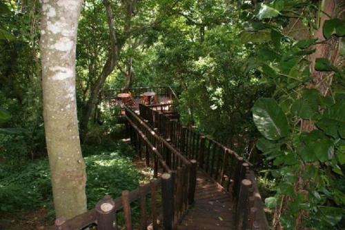 Ndiza Lodge And Cabanas - thumb 1