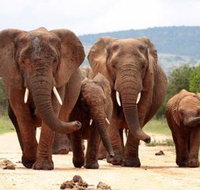 Ndzalama Game Reserve - Tourism Africa