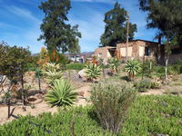 Neels Cottage Tourism Africa