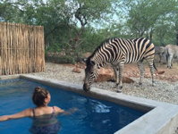 Nextdoor Kruger Tourism Africa