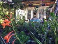 Ngwenya Garden Cottage Tourism Africa