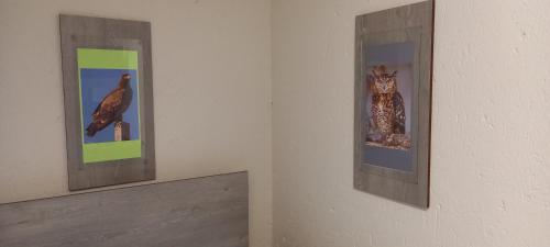 Nite Owl B&B - thumb 3