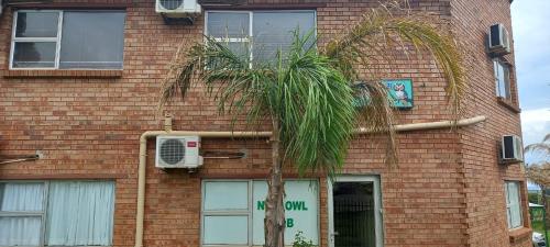 Nite Owl B&B - thumb 4