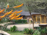 Northgate Lodge Tourism Africa