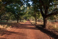 Oak Lane Cottages Tourism Africa
