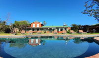 Outeniqua Moon Percheron Stud Farm Tourism Africa