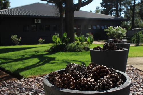 Outlook Lodge OR Tambo - thumb 3