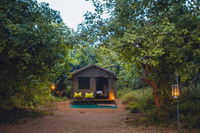 Pafuri Walking Safari's Tourism Africa