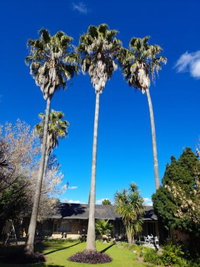 Palms Lodge Tourism Africa