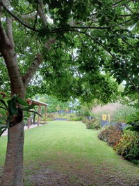 Booking Blanco Accommodation Africa