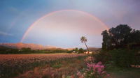 Pepper Tree Cottage Tourism Africa