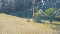 Pine Cottages Wembley Tourism Africa