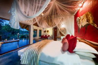 Pondoro Game Lodge Tourism Africa