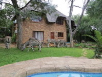 Rafiki's Resthouse Kruger Retreat Tourism Africa