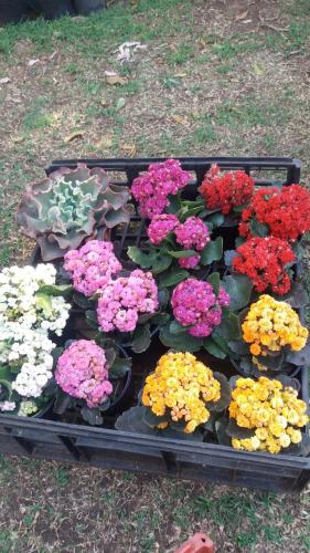 Reggies Bed & Breakfast - thumb 1