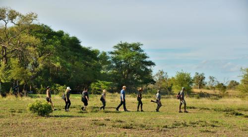 Rhino Walking Safaris - thumb 4