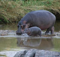 River House - Accommodation Africa