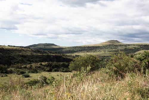 Riverbed Africa - thumb 1